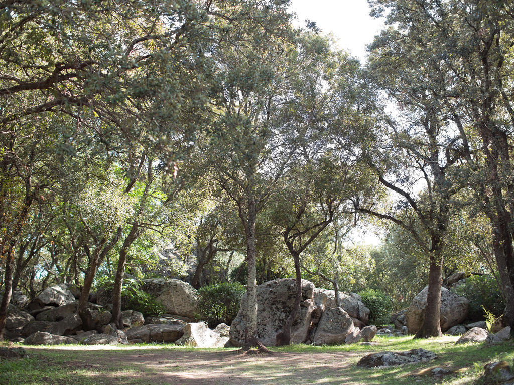 Camping La Vetta Porto-Vecchio  Ngoại thất bức ảnh